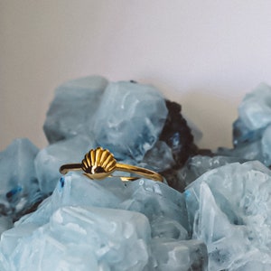 Seashell Minimalist 14K Gold Plated Ring beachy jewelry, coastal cowgirl ring, stackable stainless steel ring, handmade gift, unique ring