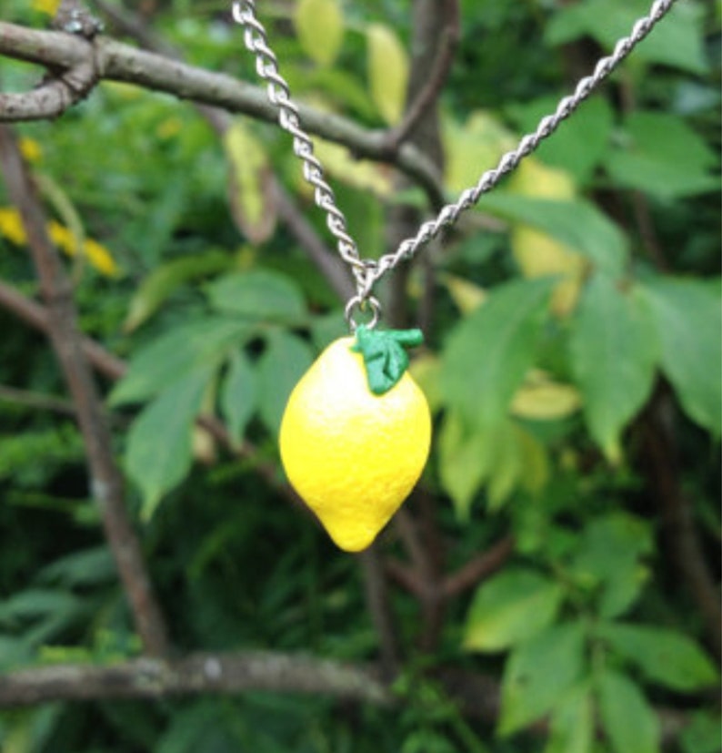 Fresh Fruit Necklace image 2