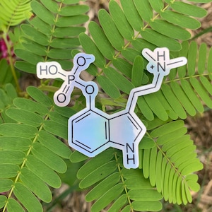 May include: A white sticker with a chemical structure of a molecule with the text "HO", "P", "O", "NH", and "+" printed on it. The sticker is on a green leafy plant.
