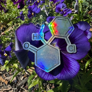 Puede incluir: Una pegatina holográfica de un compuesto químico con las letras HN, O y Cl. La pegatina está colocada sobre una flor morada.