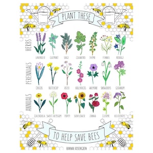 Pflanzen Sie diese, um Bienen zu retten 16x20" Poster * ODER * 11x14" Print