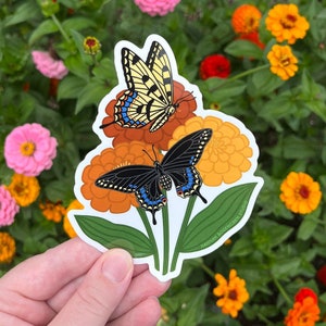 Swallowtail Butterfly Sticker