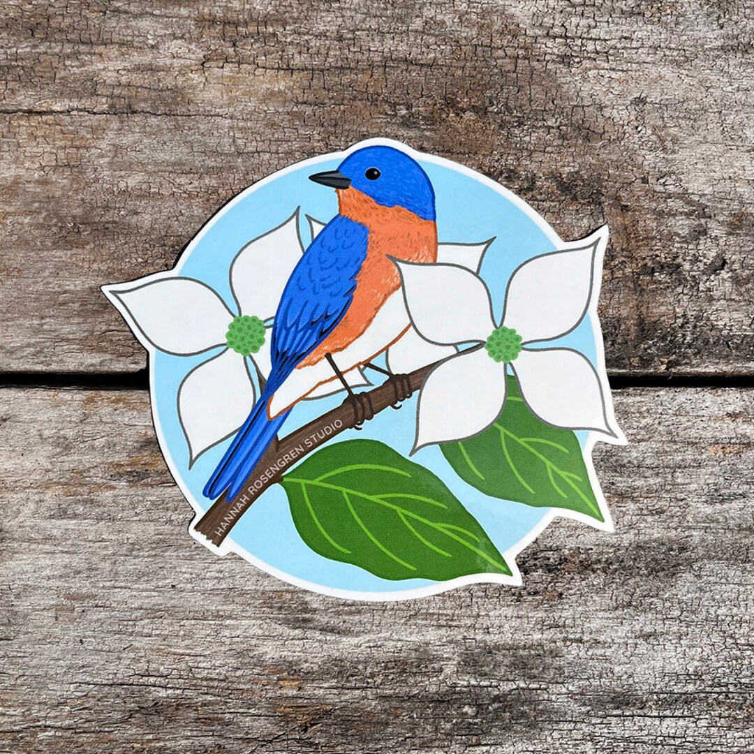 Eastern Bluebird Sticker - Etsy