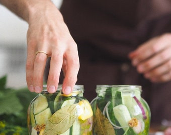 Rezept: Wie Sie Ihr eigenes Home Fermented Veg / Digitaler Download herstellen, lernen, einfache Rezepte, Gärung, Darmgesundheit, Antioxidans, hausgemacht