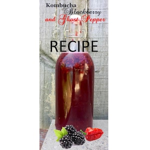 Recipe: How to make your own Home Brew Kombucha / Digital download, learn, easy recipes, fermentation, gut health, anti-oxidant, homemade