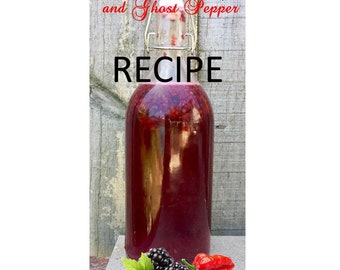 Rezept: Home Brew Kombucha selbst herstellen / Digitaler Download, lernen, einfache Rezepte, Gärung, Darmgesundheit, Antioxidans, hausgemacht