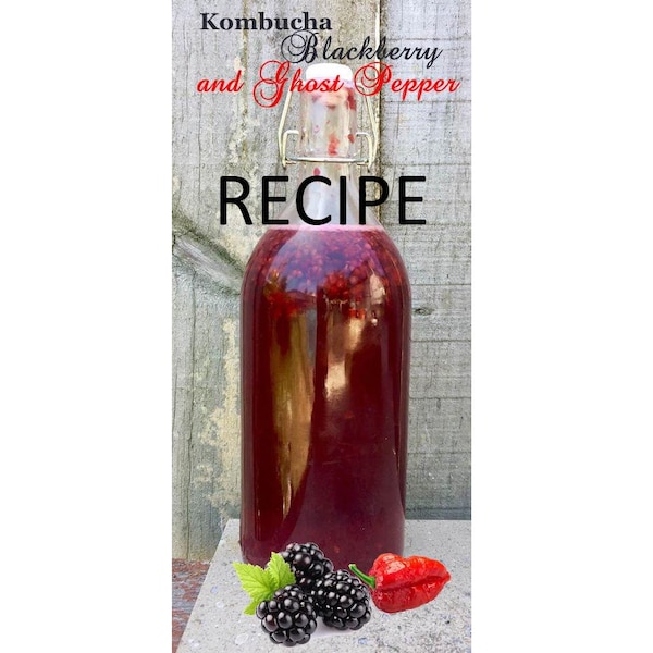 Recipe: How to make your own Home Brew Kombucha / Digital download, learn, easy recipes, fermentation, gut health, anti-oxidant, homemade