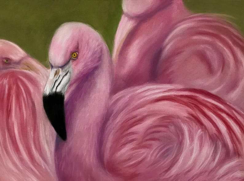 Flamboyance of Flamingos image 1