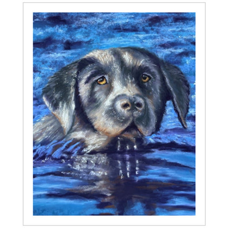 Water Dog image 1