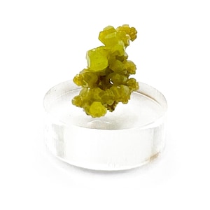 Pyromorphite, Pyromorphite Specimen, Yellow Green Pyromorphite (093)