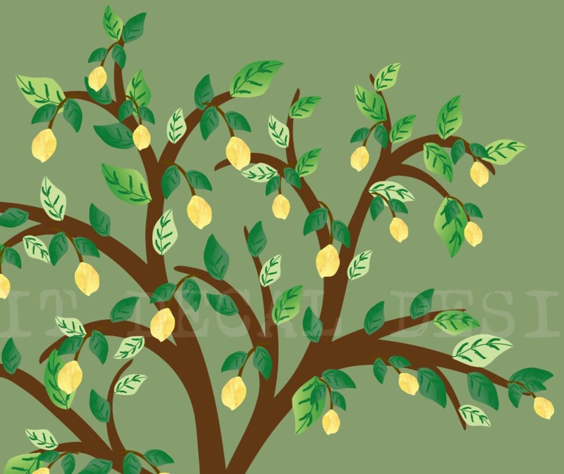 Lemon Tree Wall Decal Wall Decal Tree Lemon Decor Wall Etsy