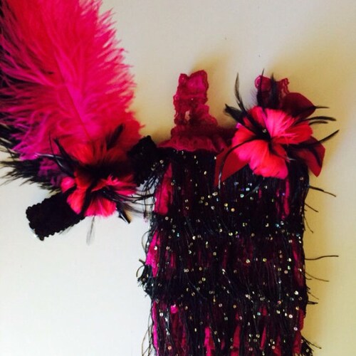 Darling 1920's inspired Flapper Girl shops Set and Feather Sequin Headband.