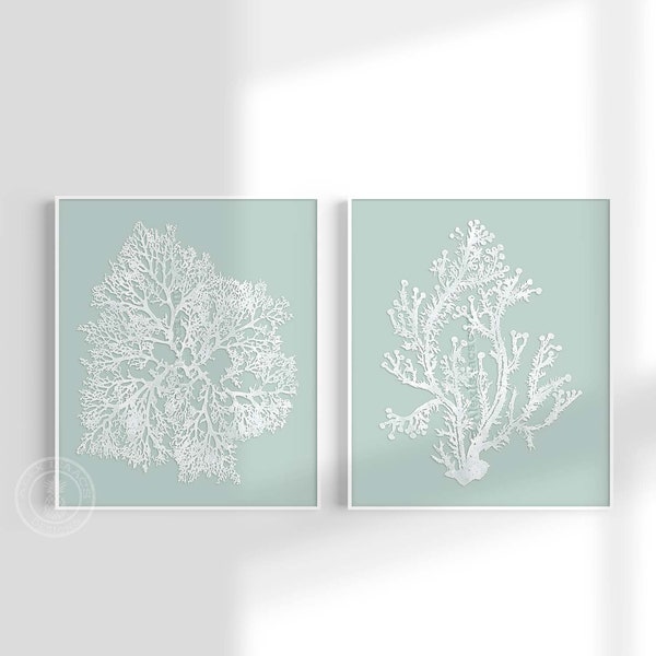 Picture of Sage Green Coastal Wall Art - Etsy