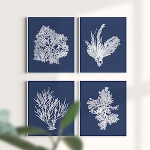 Navy White Coral Print Nautical Decor, White Blue Sea Coral Print Set of 4, Coral Wall Art, Coral Print, Navy White Bedroom Art, Unframed