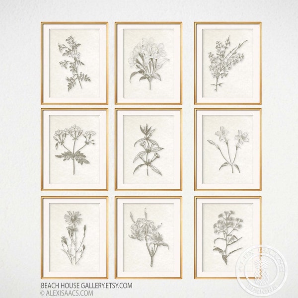 Set of 9 Botanical Prints, Modern Farmhouse Wall Art, Modern Rustic Living Room Art, Jasmine Prints, Floral, Wall Art, Set of 9 Prints