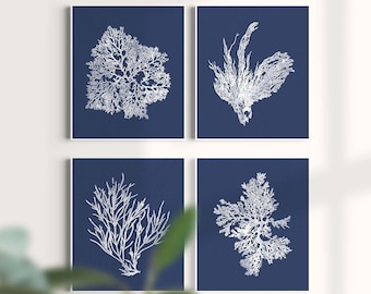 Navy White Coral Print Nautical Decor, White Blue Sea Coral Print Set of 4, Coral Wall Art, Coral Print, Navy White Bedroom Art, Unframed