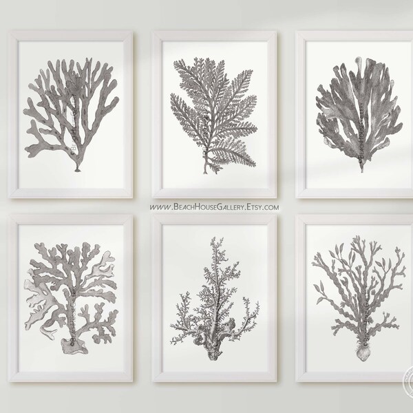 Coral Wall Art Etsy