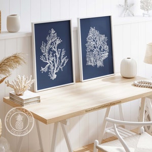 White Coral on Navy, Blue Coral Wall Art, Navy Blue Coral Print, Navy White Wall Art, Navy Blue Home Decor, Coral Print, Set of three image 6