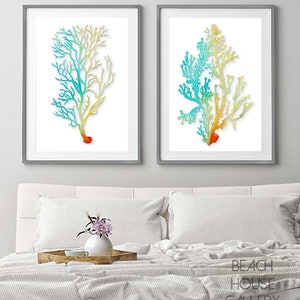 Summer Art Antique Illustration Sea Coral Print Set of Two - Etsy