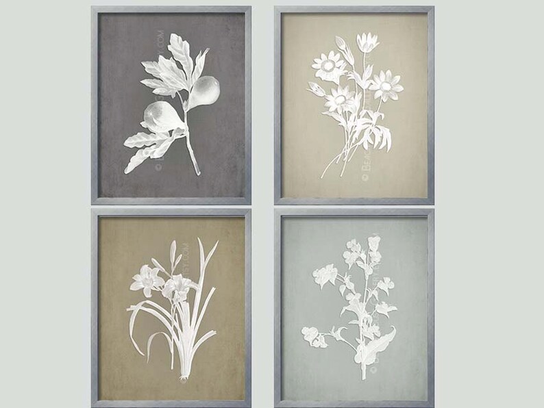 Gray Botanical French Country Wall Art Collection Prints Grey Farmhouse Style Decor Rustic - French Country Wall Art Decor Gray Botanical French Country Wall Art Collection Prints Grey Farmhouse Style Decor Rustic - French Country Wall Art Decor