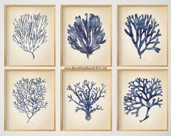 Vintage Coral Prints, Blue Coral Prints, Rustic Beach House Art, Nautical Wall Art, Lake House Art,