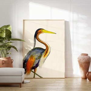 Coastal Bird Print Set of 4, Flamingo Heron Wall Art, Florida Beach House Decor image 8