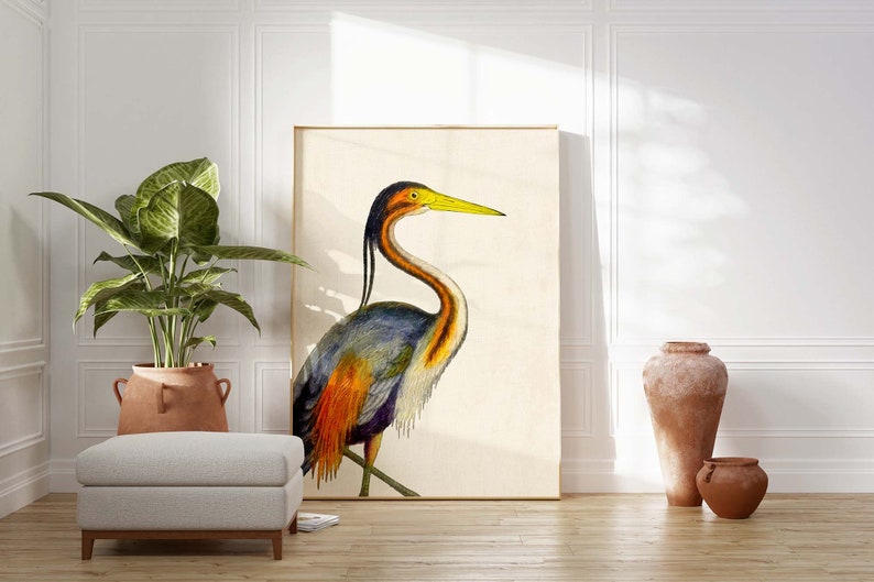 Coastal Bird Print Set of 4, Flamingo Heron Wall Art, Florida Beach House Decor image 8