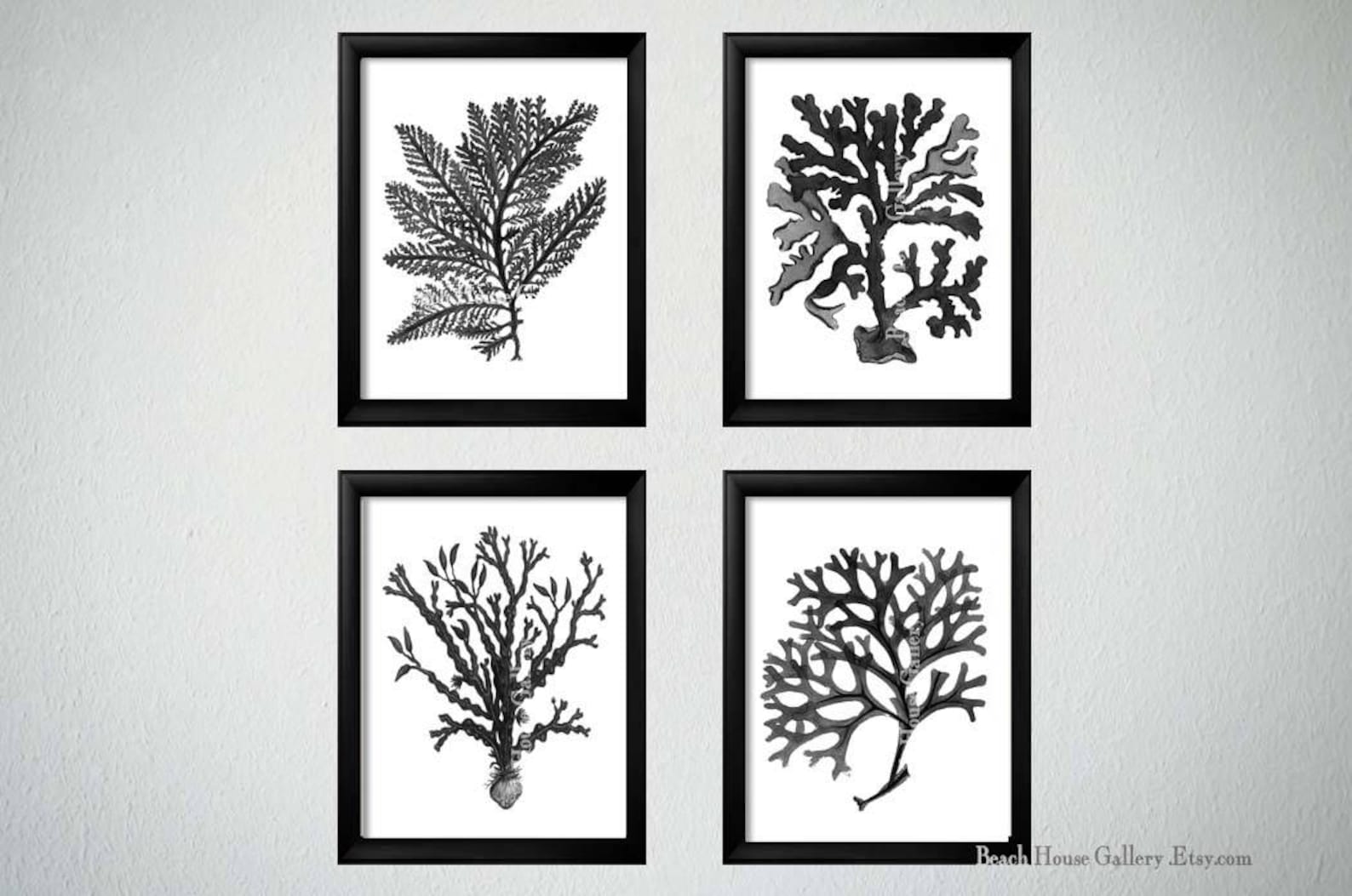 Black White Coral Wall Art White Black Coral Print Black Etsy