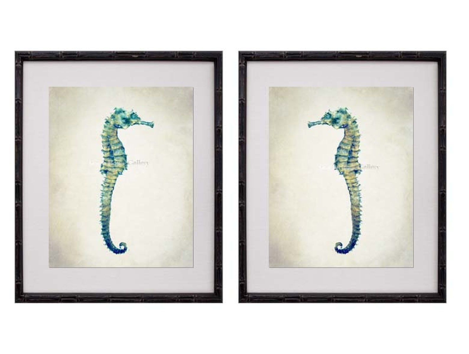 Seahorse Wall Art Seahorse Print Set Seahorse Prints Etsy