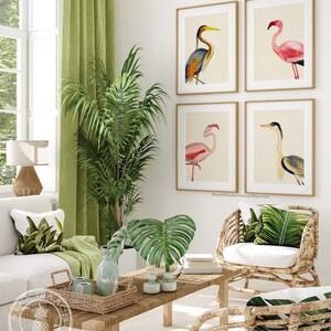 Coastal Bird Print Set of 4, Flamingo Heron Wall Art, Florida Beach House Decor image 6