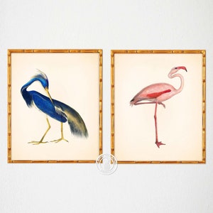 Blue Heron  Flamingo Prints, Chinoiserie Art, Flamingo Print, Tropical Wall Art, Home Decor, Bird Wall Art, Beach House Art, Heron Wall Art