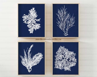 Coral Print Nautical Decor, White Blue Sea Coral Print Set of 4, Bathroom Wall Art Custom Colors, Nautical Art, Hamptons Style Art