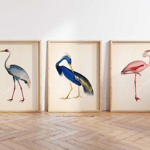 Chinoiserie Bird Prints: Crane, Heron, Flamingo Tropical Wall Art