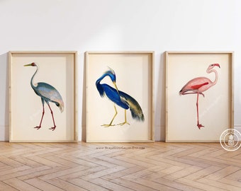 Crane Prints, Chinoiserie Art, Blue Heron Print, Flamingo Wall Art, Bird Art, Tropical Decor, Beach House Gallery, Tropical Birds, Heron Art