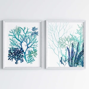 Blue Algae Prints, Coastal Seaweed - Teal Turquoise Coral, Fine Art (Set Of 2, Multiple Sizes)