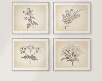 Horizontal Vintage Botanical Prints Set: Rustic Farmhouse Wall Art in Landscape Orientation