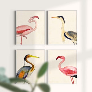 Coastal Bird Print Set of 4, Flamingo Heron Wall Art, Florida Beach House Decor image 7