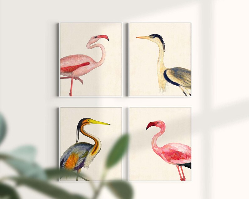 Coastal Bird Print Set of 4, Flamingo Heron Wall Art, Florida Beach House Decor image 7