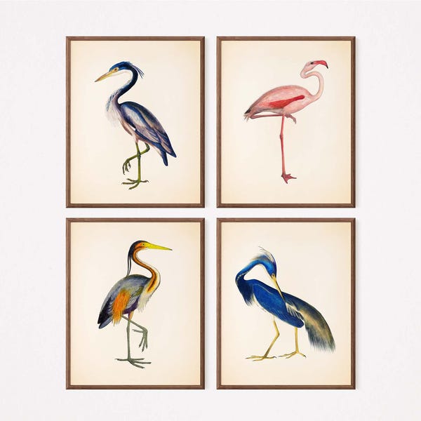 Tropical Bird Prints: Flamingo & Heron Coastal Wall Art (Set of Four)