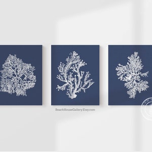 White Coral on Navy, Blue Coral Wall Art, Navy Blue Coral Print, Navy White Wall Art, Navy Blue Home Decor, Coral Print, Set of three image 3