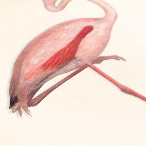 A pink flamingo with its long, curved beak and legs is depicted in the image.