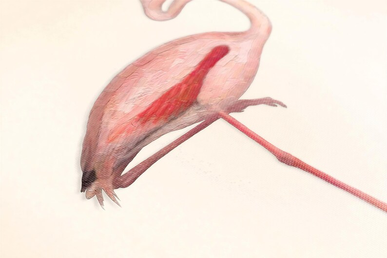 A pink flamingo with its long, curved beak and legs is depicted in the image.