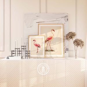 May include: Two framed prints of pink flamingos on a white background, with a silver metal candle holder and a book on a white chevron patterned dresser. The text on the bottom of the print reads "www.BeachHouseGallery.Etsy.com".