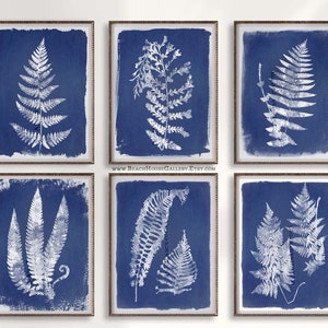 Cyanotype Ferns, Set of Six Botanical Prints, Blue and White Botanical Prints, Farmhouse Rustic Wall Art, Traditional Home Decor, Blue Fern