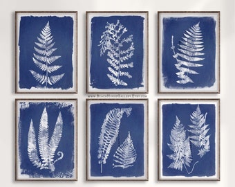 Cyanotype Ferns, Set of Six Botanical Prints, Blue and White Botanical Prints, Farmhouse Rustic Wall Art, Traditional Home Decor, Blue Fern