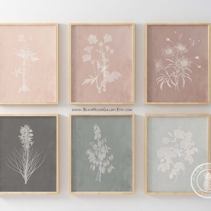 Blush Wall Art - Etsy