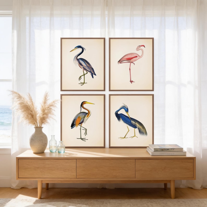 a wooden table with four framed pictures of different bird species, including a heron, flamingo, crane, and egret, displayed on it. The table is situated near a window with sheer curtains, and there are some decorative elements such as a vase and a stack of books on the table.