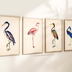 a collection of four framed artworks depicting different types of birds, including a heron, flamingo, and two blue herons.