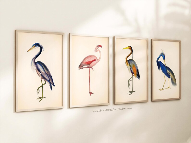 a collection of four framed artworks depicting different types of birds, including a heron, flamingo, and two blue herons.