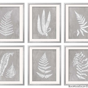 Gray Fern Botanical Prints: Antique Style Wall Art, Set of 6